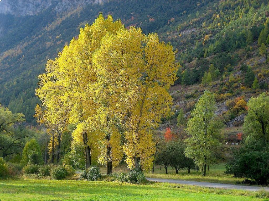 Chambres D'Hotes La Pierre D'Oran LʼArgentière-la-Bessée Dış mekan fotoğraf